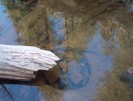 photo thumbnail #12