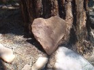 photo thumbnail #14