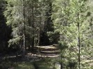 photo thumbnail #15