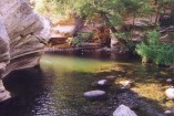 photo thumbnail #12