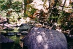 photo thumbnail #13