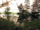 photo thumbnail #9
