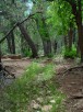 photo thumbnail #12