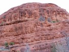 photo thumbnail #2