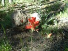 photo thumbnail #6