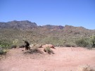 photo thumbnail #1