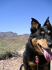 photo thumbnail #2