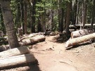 photo thumbnail #2
