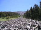 photo thumbnail #7