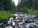 photo thumbnail #7