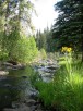 photo thumbnail #11