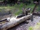 photo thumbnail #5