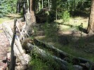 photo thumbnail #6