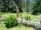 photo thumbnail #7