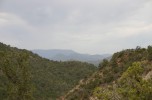 photo thumbnail #1