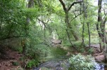 photo thumbnail #2