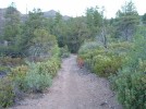 photo thumbnail #2