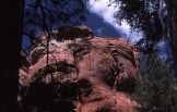 photo thumbnail #7