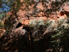 photo thumbnail #7