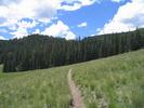 photo thumbnail #12