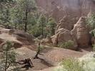 photo thumbnail #7