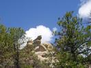 photo thumbnail #4