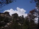 photo thumbnail #10