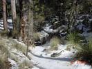 photo thumbnail #3