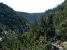 photo thumbnail #5