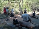 photo thumbnail #2