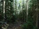 photo thumbnail #3