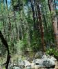 photo thumbnail #10