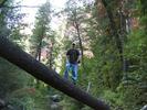 photo thumbnail #5