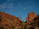 photo thumbnail #8