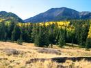 photo thumbnail #9