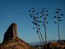 photo thumbnail #10