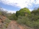 photo thumbnail #4