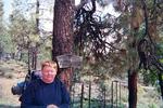 photo thumbnail #2