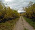 photo thumbnail #1
