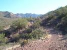 photo thumbnail #11