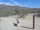 photo thumbnail #4