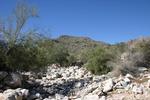 photo thumbnail #5