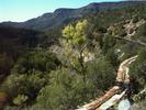 photo thumbnail #2