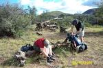 photo thumbnail #15