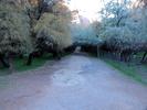 photo thumbnail #15