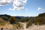 photo thumbnail #7