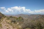 photo thumbnail #8
