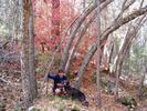 photo thumbnail #3