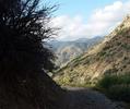 photo thumbnail #1