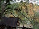 photo thumbnail #11